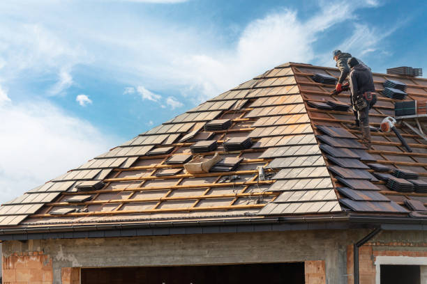 Best Roof Moss and Algae Removal  in Parkville, MO